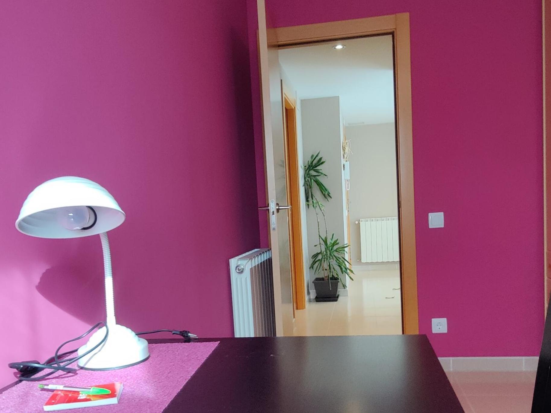 Ca L'Esmolet Apartamento Tremp Exterior foto